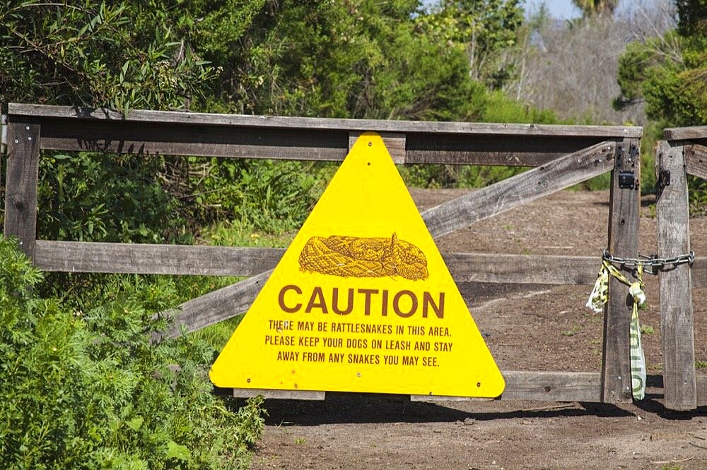 Rattlesnake warning sign in Ballona Wetlands, Playa Vista, Los Angeles