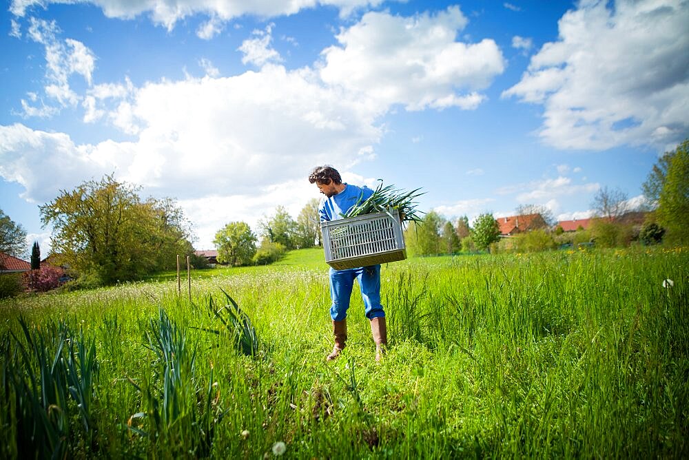 Organic farming