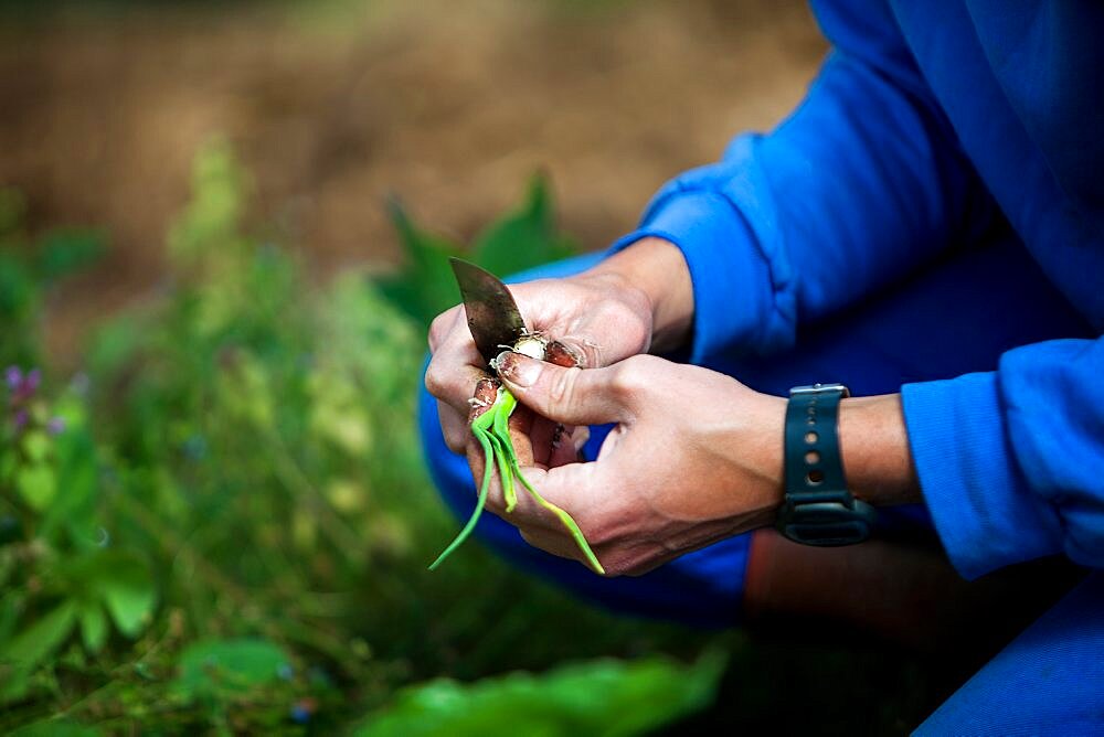 Organic farming