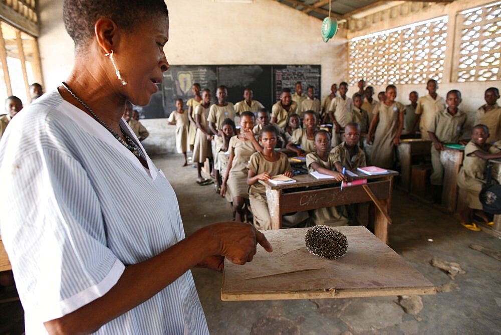 Primary school in Africa.