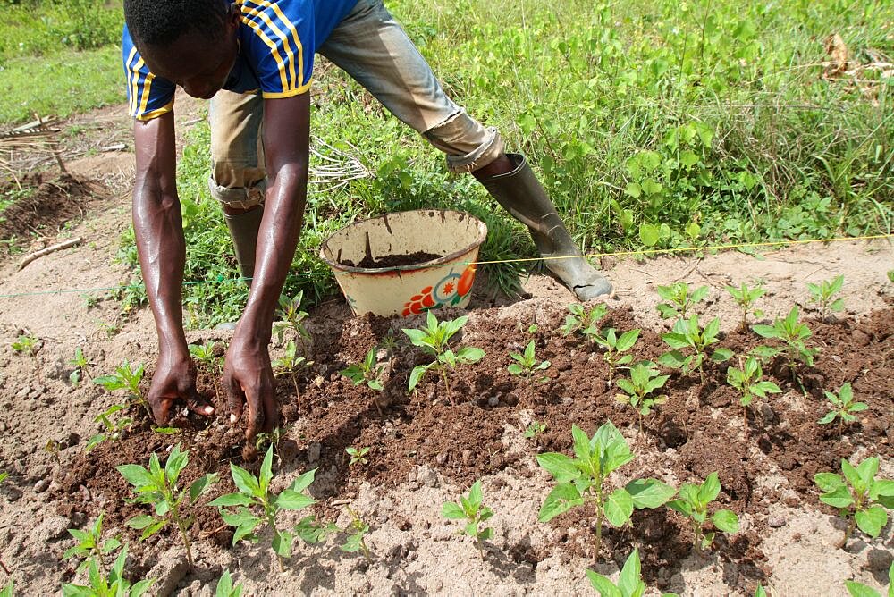 African farmer land his back garden on a farm.