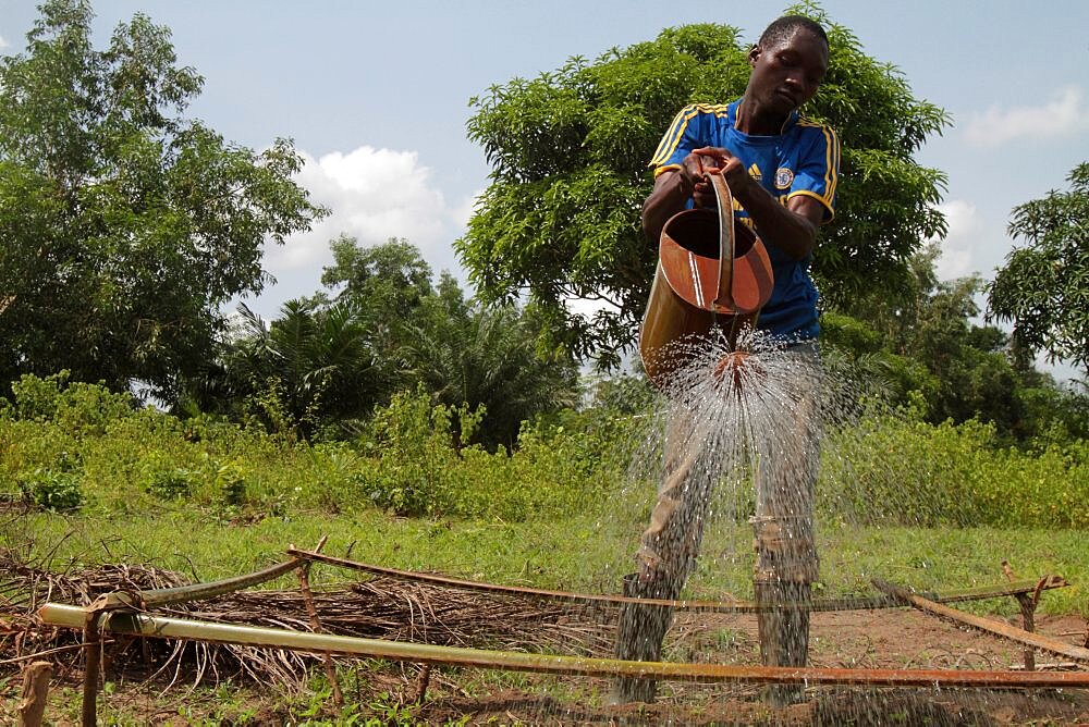 Watering the garden on a farm.