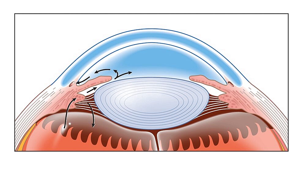 Eye, Drawing