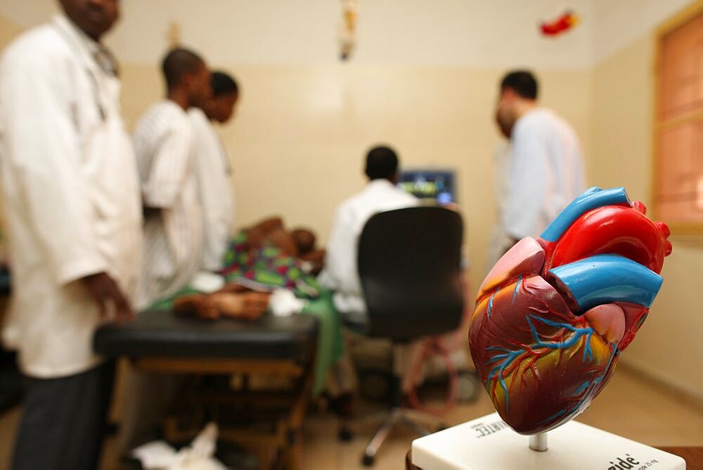 Humanitarian Medical Aide, Heart Sonogram