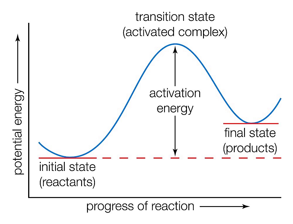 Potential energy curve