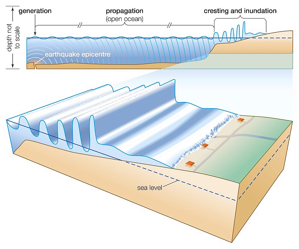 Generated by an undersea earthquake, a tsunami may propagate over open ocean waters before cresting and inundating a coastline.