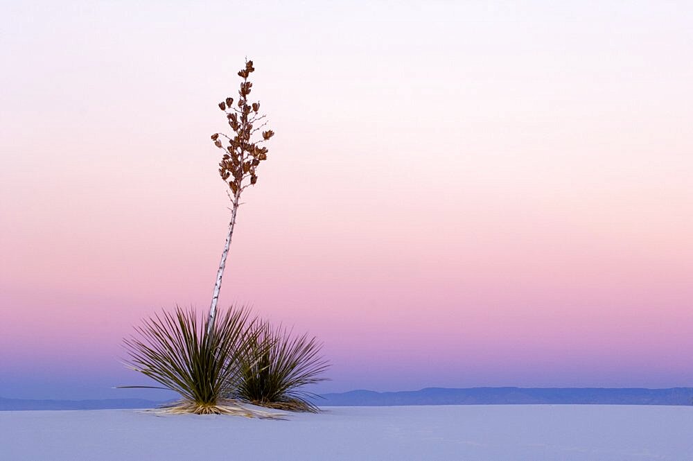 White Sands