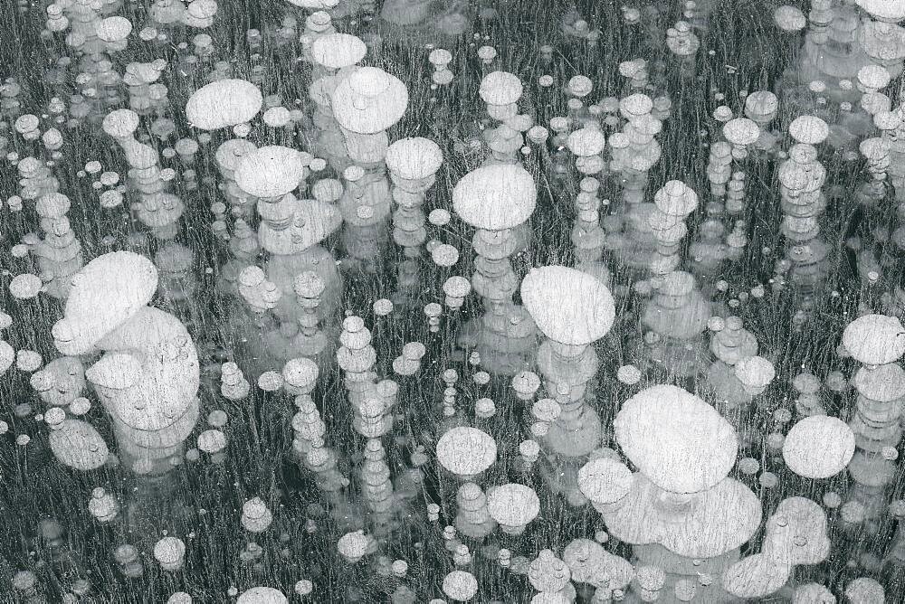 Bubbles in Ice on Abraham Lake