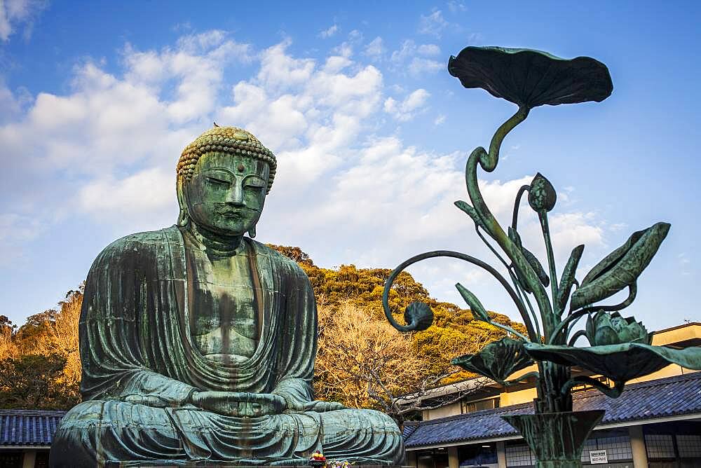 The Daibutsu (bronze Great Buddha). Kotoku-in Temple, Kamakura, Japan