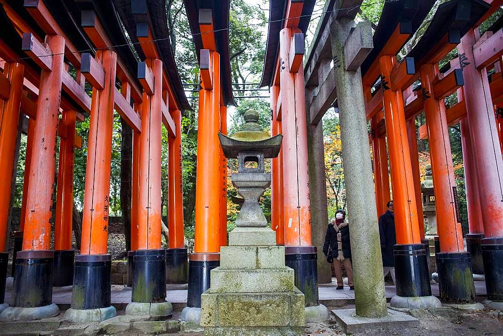 Torii gates at Fushimi Inari-Taisha sanctuary,Kyoto, Japan