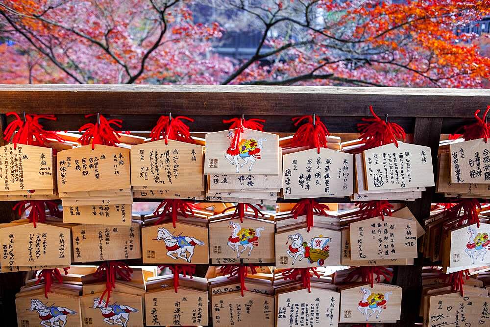 Prayer boards, in Kiyomizu-dera temple, Kyoto. Kansai, Japan.