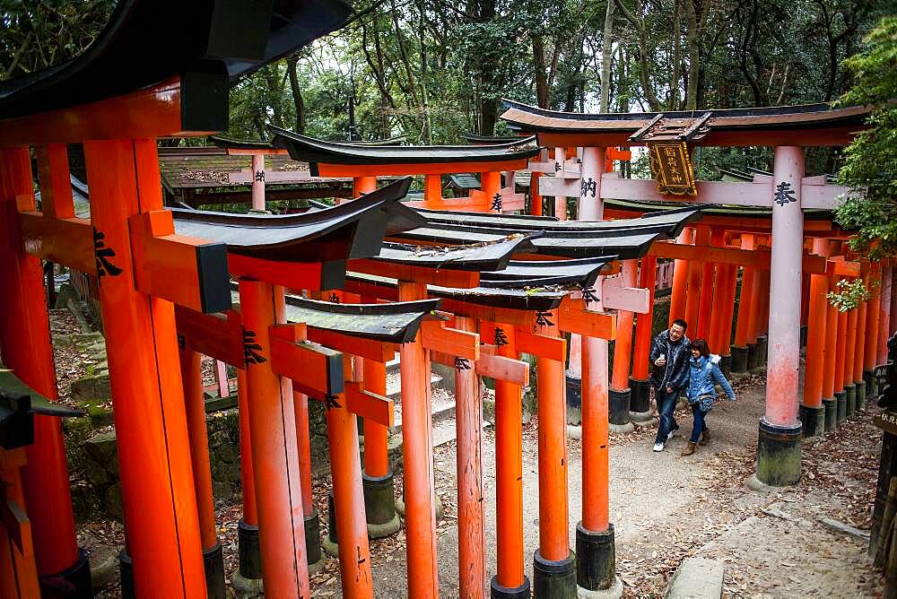 Torii gates at Fushimi Inari-Taisha sanctuary,Kyoto, Japan