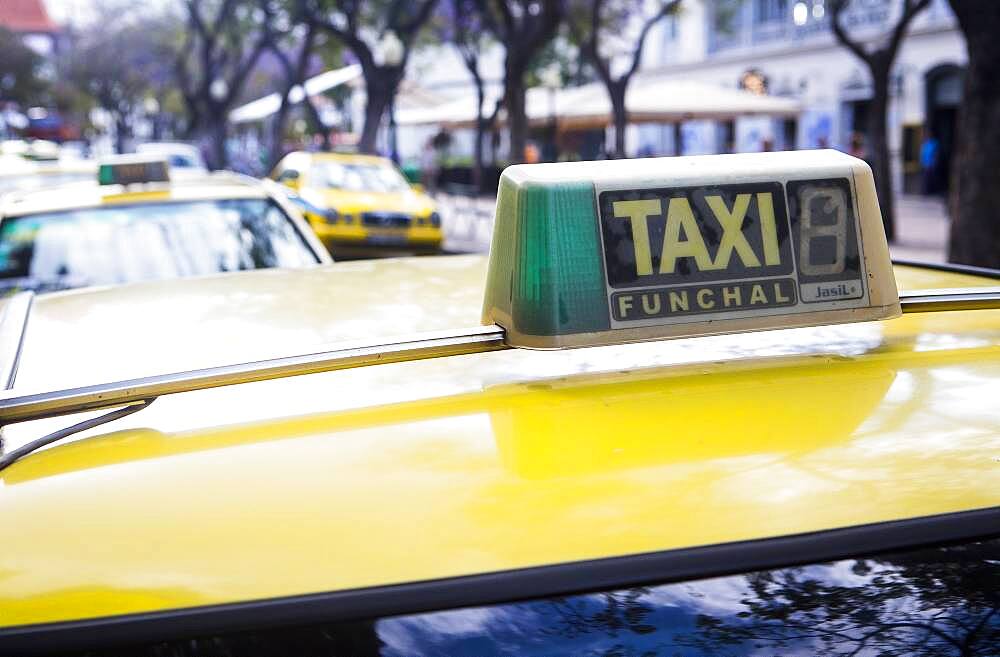 Cabs, AV Arriaga, Funchal, Madeira, Portugal