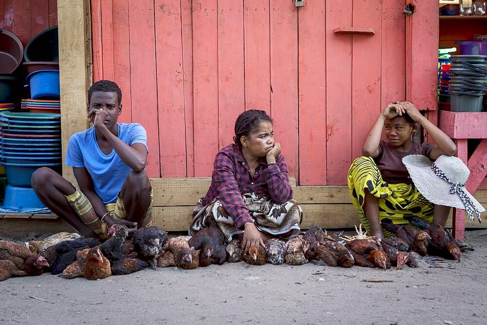 chicken vendors,  market, Morondava, Madagascar