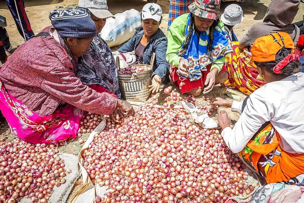 Onions stand, food market, Fianarantsoa city, Madagascar