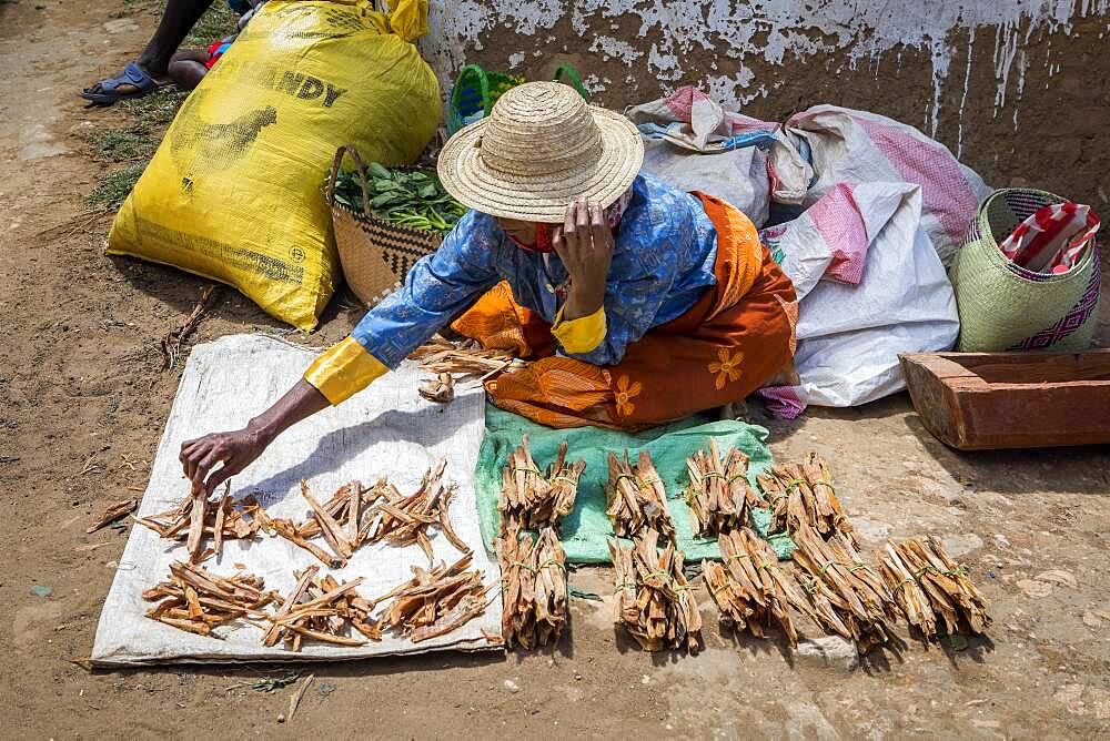 Firewood stand, food market, Fianarantsoa city, Madagascar