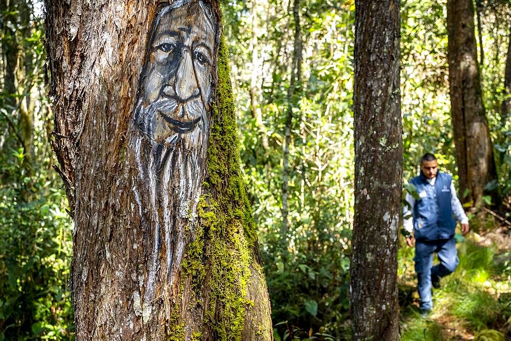 Mohan god, protector of the rivers and thief of women, myths and legends trail, Arví Park, Medellin, Colombia