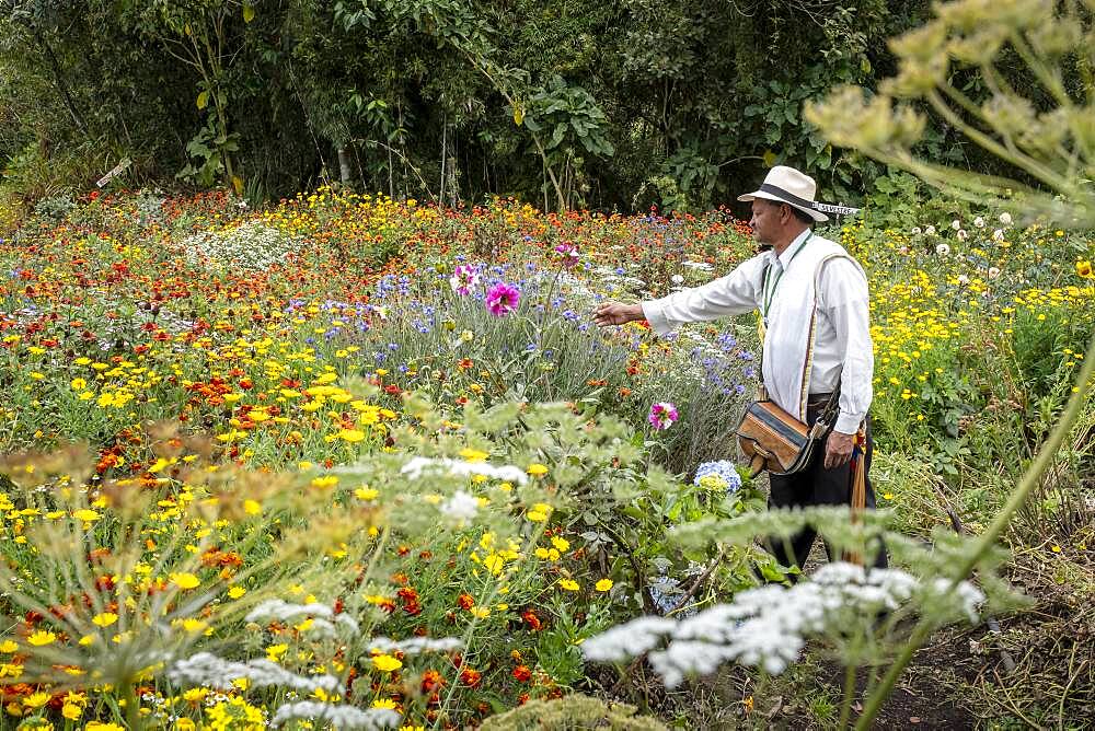 Joaquín Emilio Zapata, Silletero, flower farmer, Finca, silletera, farm, Vereda Barro Blanco,  Sector El Rosario, Medellín, Colombia