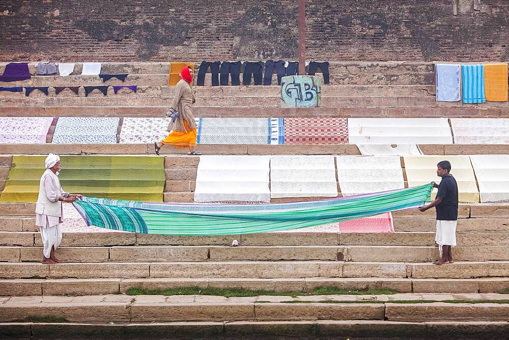 Tending the Laundry for drying, Dasaswamedh Ghat, in Ganges river, Varanasi, Uttar Pradesh, India.