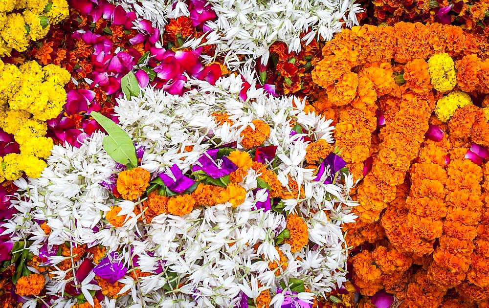 The flower market,Varanasi, Uttar Pradesh, India