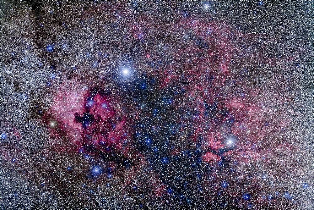 Nebulosity in the heart of Cygnus the Swan, including the North America Nebula and Pelican Nebula at left (NGC 7000 and IC 5070) and Gamma Cygni complex at right (IC 1318). The Crescent Nebula (NGC 6888) is at lower right. This is a stack of 5 x 4 minute exposures at f/2 with the 135mm lens and modified Canon 5D MkII at ISO 800, plus another three similar exposure images but taken thru the Kenko Softon filter for the star glows. Taken from home Sept 10, 2013.