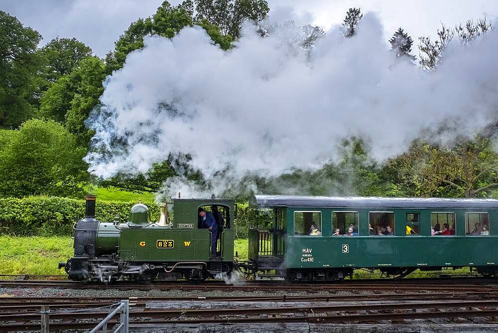 Llanfair and Welshpool Steam Railway, Wales