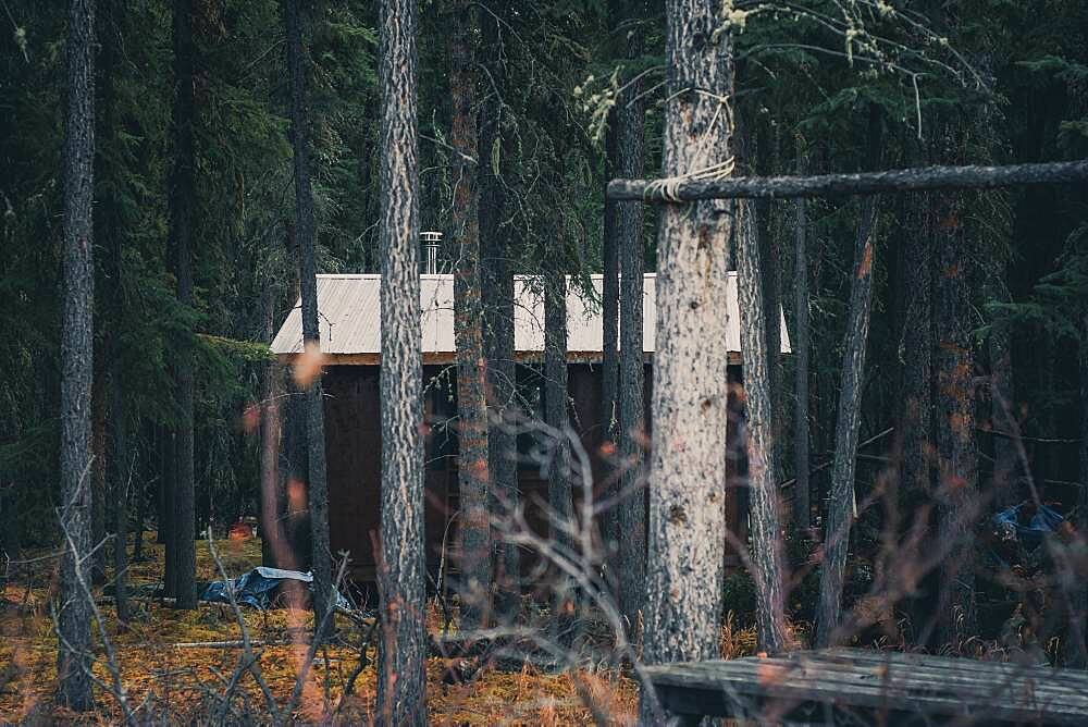 A simple trapper cabin in the woods of the Yukon Territory. Canada