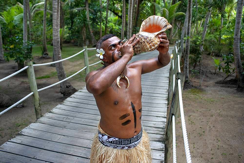 Tradtional Fijian Warrior blowing a shell in Malolo Island Resort and Likuliku Resort, Mamanucas island group Fiji