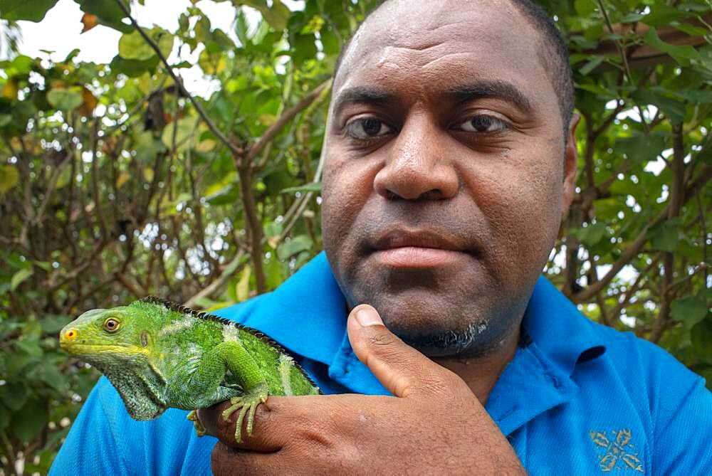 Person who takes care of Endangered Fiji crested iguana (Brachylophus vitiensis) Fiji banded iguana (Brachylophus fasciatus) at Malolo Island Mamanucas island group Fiji