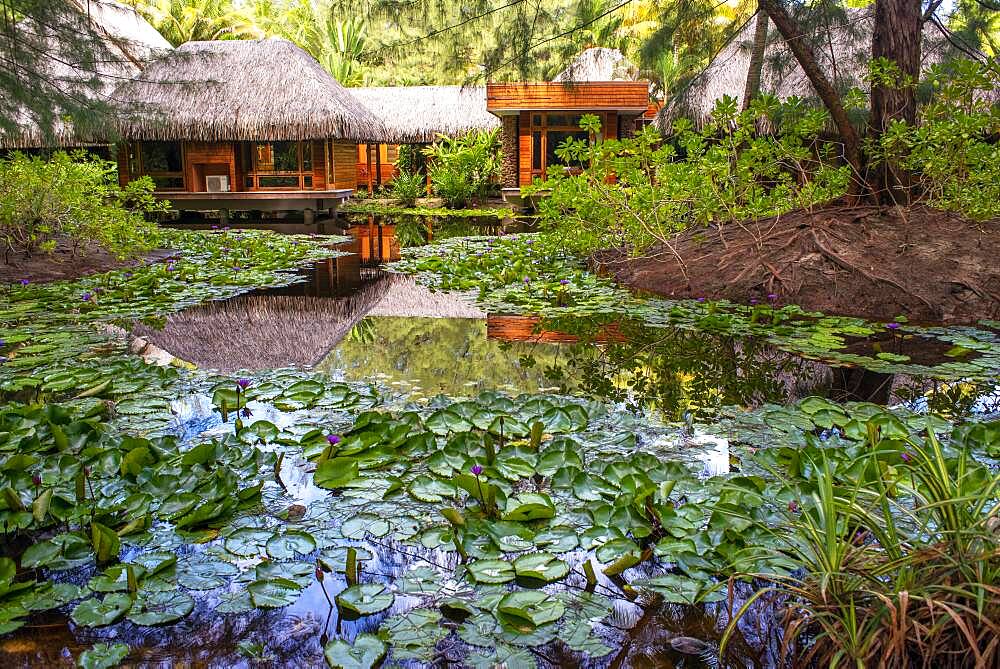 Le Bora Bora by Pearl Resorts luxury resort in motu Tevairoa island, a little islet in the lagoon of Bora Bora, Society Islands, French Polynesia, South Pacific.