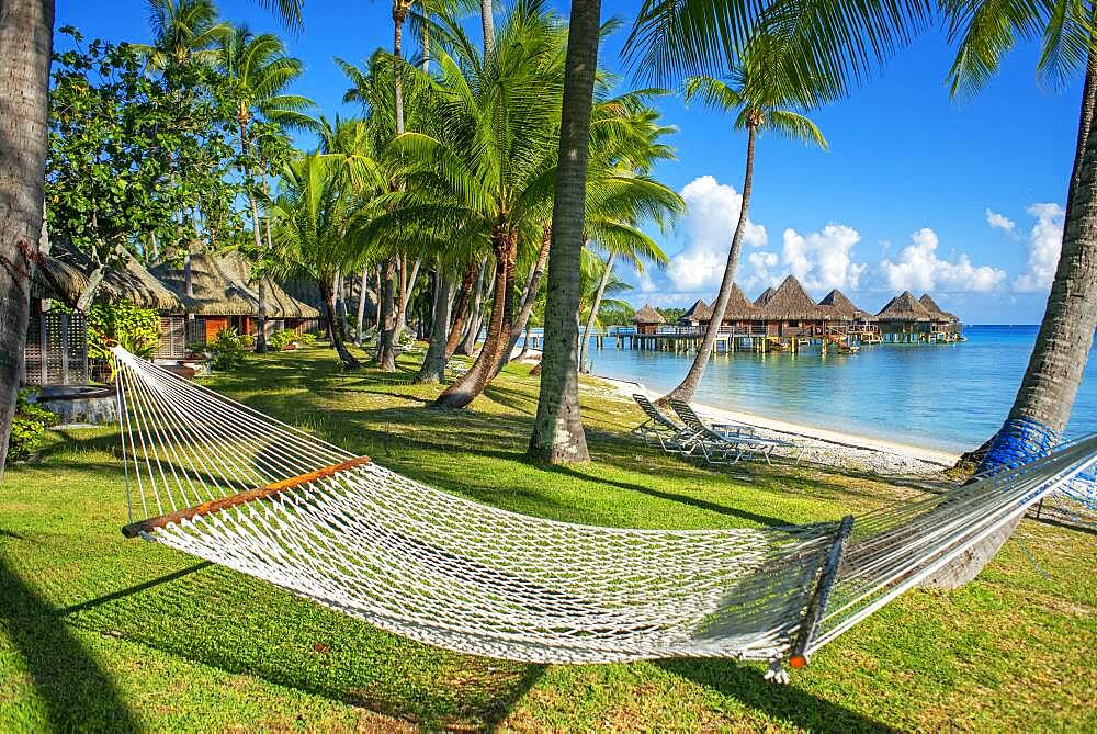 Hammock under coconut trees at Luxury Hotel Kia Ora Resort & Spa on Rangiroa, Tuamotu Islands, French Polynesia.