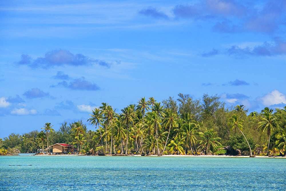 Tropical paradise seascape Taha'a island landscape, French Polynesia. Motu Mahana palm trees at the beach, Taha'a, Society Islands, French Polynesia, South Pacific.