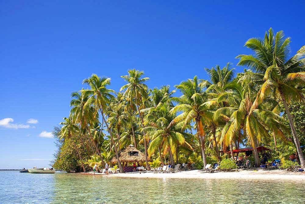 Tropical paradise seascape Taha'a island landscape, French Polynesia. Motu Mahana palm trees at the beach, Taha'a, Society Islands, French Polynesia, South Pacific.