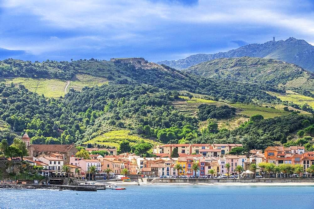 Landscape seaside beach of the picturesque village of Collioure, near Perpignan at south of France Languedoc-Roussillon Cote Vermeille Midi Pyrenees Occitanie Europe