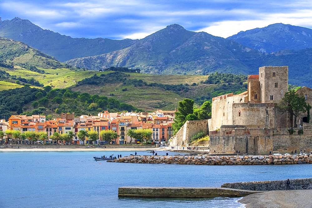 Royal castle of Collioure and landscape seaside beach of the picturesque village of Colliure, near Perpignan at south of France Languedoc-Roussillon Cote Vermeille Midi Pyrenees Occitanie Europe