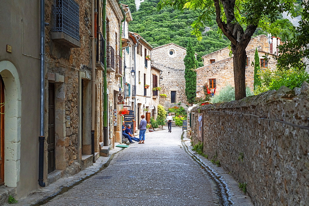 Old town, Languedoc-Roussillon, Cote Vermeille, Midi Pyrenees, Occitanie, France, Europe