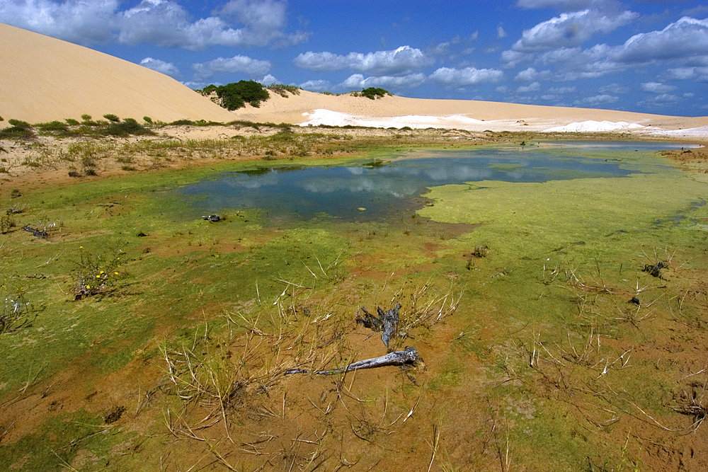 Freshwater lake and sand dunes at Ilha Grande de Santa Isabel, Parnaiba river delta, Piaui, Brazil