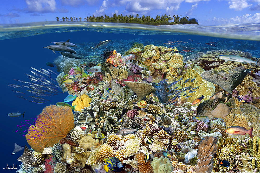 Digital composite of tropical coral reef environment, Marshall Islands, Micronesia