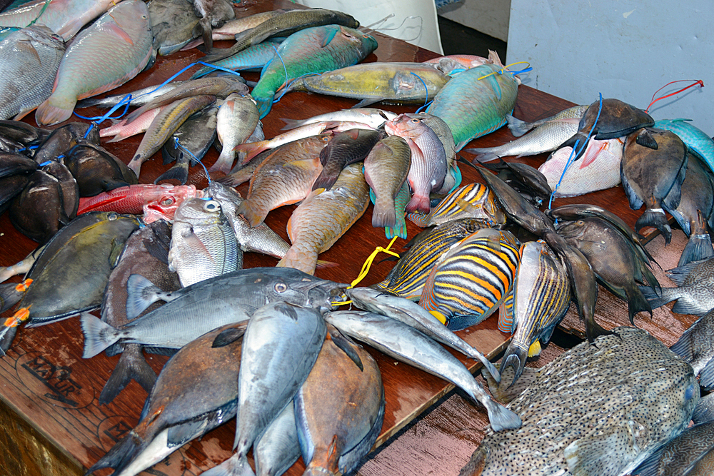Reef fishes for sale in the Suva market, Suva, Viti Levu, Fiji, South Pacific