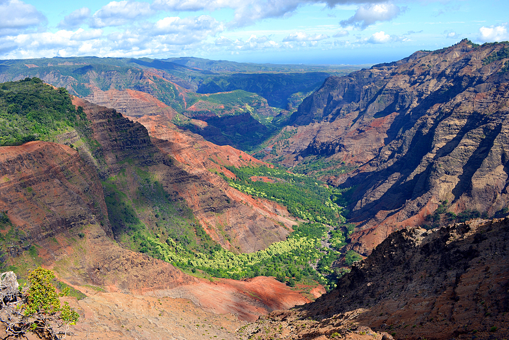 Waimea Canyon, the "Grand Canyon of the Pacific", viewed from the Puu Hinahina lookout, Kauai, Hawaii, USA