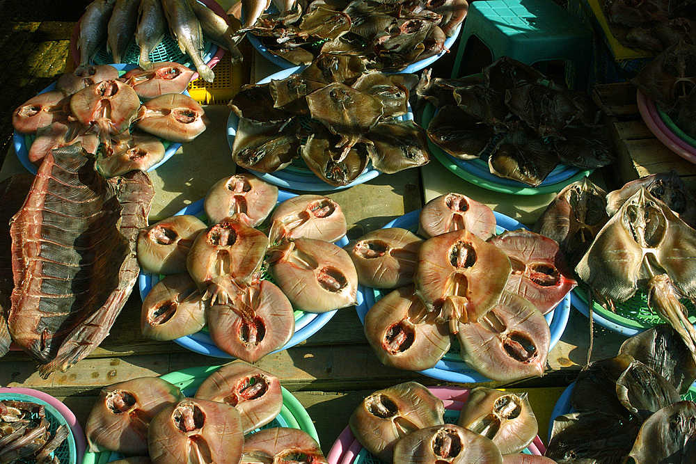 Dried stingrays for sale at Jagalshi seafood market, Busan, South Korea.