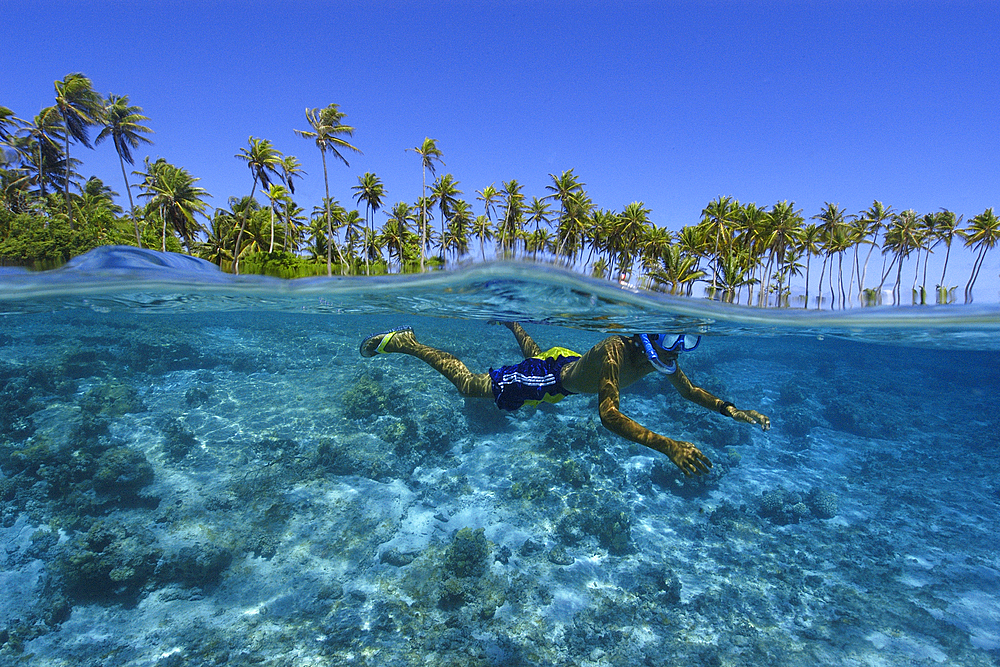 Split image of Marshalhese boy and coconut trees, Ailuk island, Ailuk atoll, Marshall Islands, Pacific