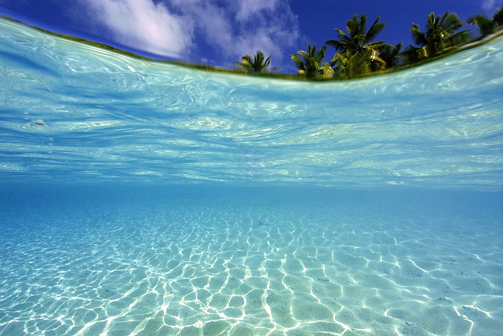 Split image of sand bottom and island, Rongelap, Marshall Islands, Micronesia