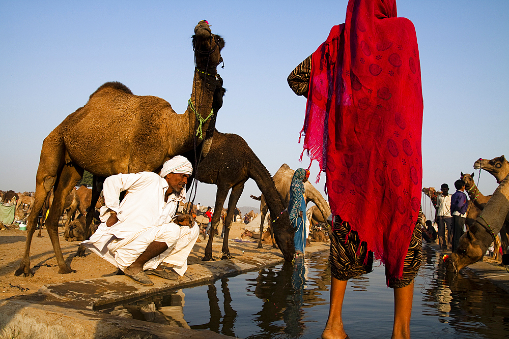 In the ground in Pushkar Camel Fair