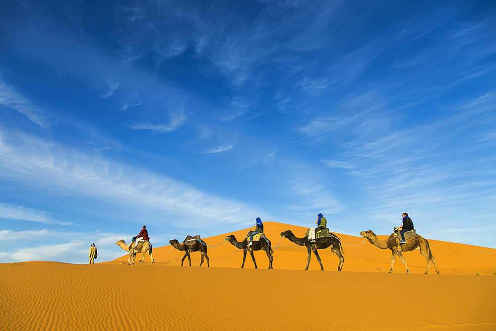 Camel caravan tourists in the Erg Chebbi sand dunes