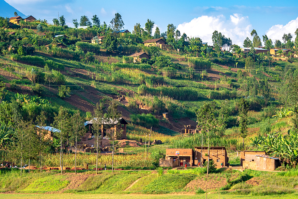 Simple construction homes terraced throughout the hilly countryside in northwest Rwanda