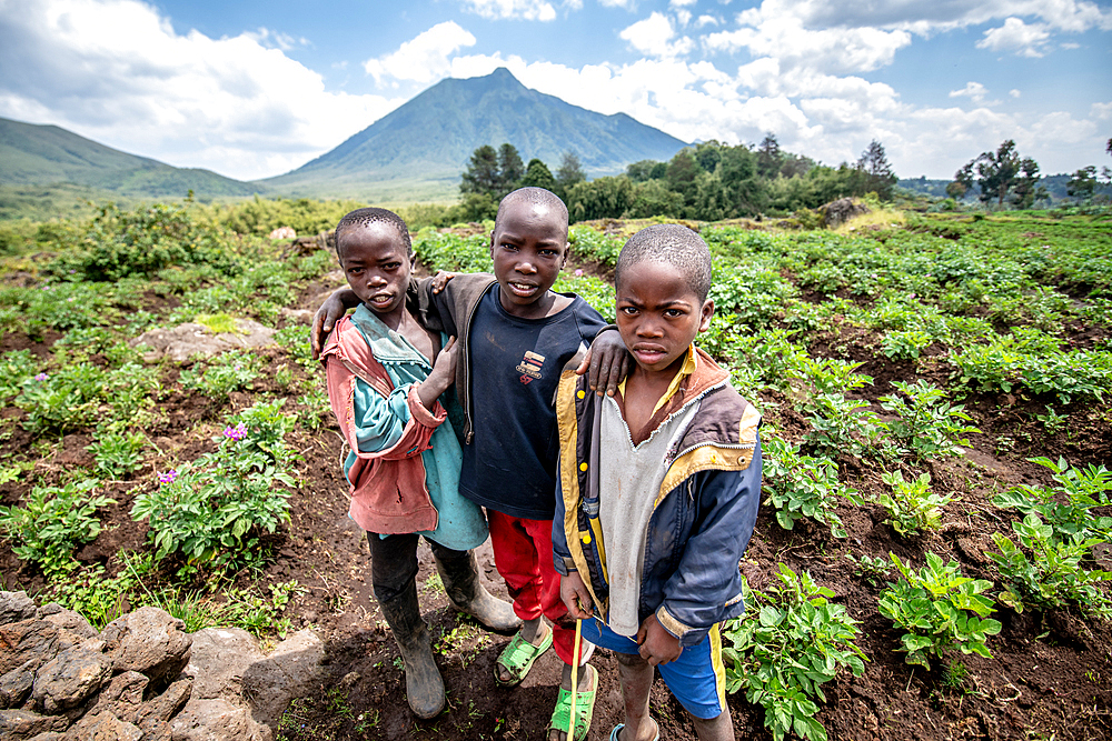 Kids in Potato field on small farms near Volcanos National Park, Rwanda