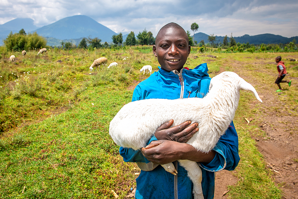 A young boy holds lamb in his arms, Kinigi, Rwanda.