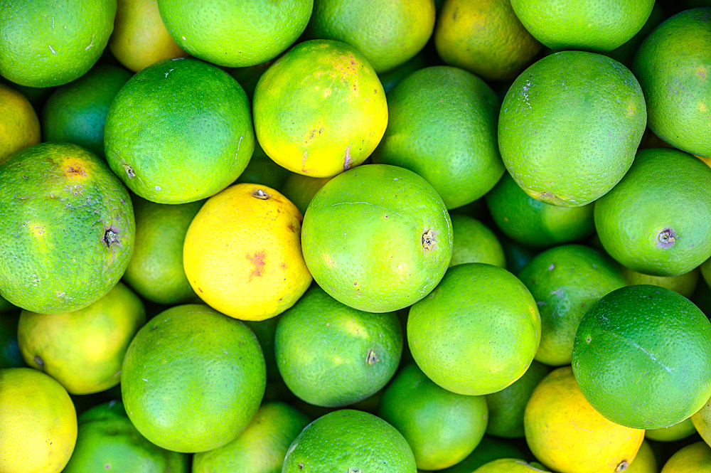 Close up on pile of limes, Debre Berhan, Ethiopia