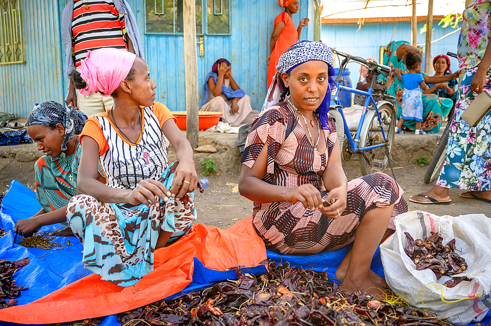 Woman sit together and sort through dried red chili peppers at outdoor market, Debre Berhan, Ethiopia